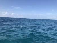 Great day of scuba diving in Key Largo with Rainbow Reef on benwood wreck tropical legend 2019 07 18 r8570 1