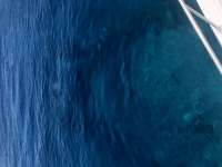 Great day of scuba diving in Key Largo with Rainbow Reef on benwood wreck tropical serenity 2019 07 01 r8503 1