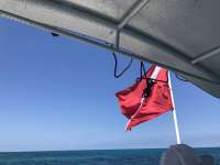 Great day of scuba diving in Key Largo with Rainbow Reef on christ statue tropical destiny 2019 07 24 r8599 1