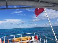 Great day of scuba diving in Key Largo with Rainbow Reef on christmastree cave santana 2019 07 20 r8579 1