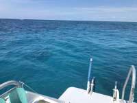 Great day of scuba diving in Key Largo with Rainbow Reef on christmastree cave tropical adventure 2019 07 04 r8523 1