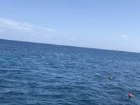 Great day of scuba diving in Key Largo with Rainbow Reef on city of washington tropical legend 2019 07 29 r8623 1