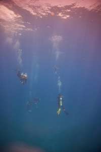 Great day of scuba diving in Key Largo with Rainbow Reef on conch wall tropical odyssey 2019 07 24 r8601 2