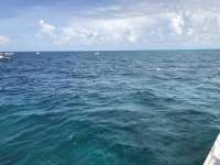 Great day of scuba diving in Key Largo with Rainbow Reef on eagle ray alley santana 2019 07 05 r8526 1