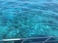 Great day of scuba diving in Key Largo with Rainbow Reef on eagle ray alley tropical adventure 2019 07 01 r8502 1