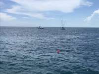 Great day of scuba diving in Key Largo with Rainbow Reef on eagle ray alley tropical destiny 2019 07 30 r8627 1