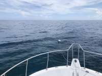 Great day of scuba diving in Key Largo with Rainbow Reef on eagle ray alley tropical serenity 2019 07 19 r8578 1