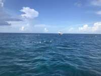 Great day of scuba diving in Key Largo with Rainbow Reef on fire coral cave santana 2019 07 31 r8631 1