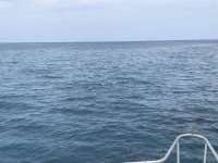 Great day of scuba diving in Key Largo with Rainbow Reef on north star santana 2019 07 03 r8519 1