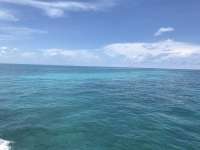 Great day of scuba diving in Key Largo with Rainbow Reef on pickle barrel wreck tropical adventure 2019 07 26 r8607 1
