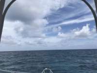 Great day of scuba diving in Key Largo with Rainbow Reef on snapper ledge santana 2019 07 05 r8528 1