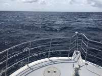 Great day of scuba diving in Key Largo with Rainbow Reef on spiegel grove tropical odyssey 2019 07 20 r8580 1