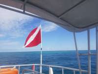 Great day of scuba diving in Key Largo with Rainbow Reef on spiegel grove tropical odyssey 2019 07 21 r8585 1