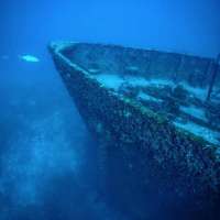 Great day of scuba diving in Key Largo with Rainbow Reef on spiegel grove tropical serenity 2019 07 31 r8630 1