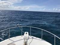 Great day of scuba diving in Key Largo with Rainbow Reef on uscgc duane tropical destiny 2019 07 16 r8564 1