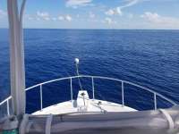 Great day of scuba diving in Key Largo with Rainbow Reef on uscgc duane tropical destiny 2019 07 28 r8614 1