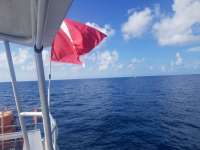 Great day of scuba diving in Key Largo with Rainbow Reef on uscgc duane tropical odyssey 2019 07 29 r8619 1