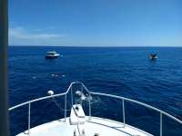 Great day of scuba diving in Key Largo with Rainbow Reef on winch hole santana 2019 07 02 r8512 1