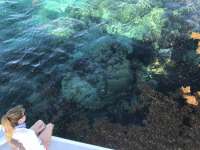 Great day of scuba diving in Key Largo with Rainbow Reef on banana patch santana 2019 06 13 r8421 1