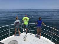 Great day of scuba diving in Key Largo with Rainbow Reef on benwood wreck tropical legend 2019 06 25 r8473 1