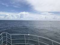 Great day of scuba diving in Key Largo with Rainbow Reef on benwood wreck tropical odyssey 2019 06 15 r8432 1