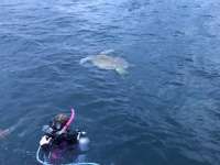 Great day of scuba diving in Key Largo with Rainbow Reef on benwood wreck tropical serenity 2019 06 15 r8435 2