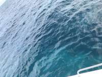 Great day of scuba diving in Key Largo with Rainbow Reef on benwood wreck tropical serenity 2019 06 28 r8485 1