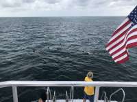 Great day of scuba diving in Key Largo with Rainbow Reef on christ statue tropical destiny 2019 06 27 r8483 1