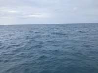 Great day of scuba diving in Key Largo with Rainbow Reef on christmastree cave santana 2019 06 17 r8442 1