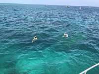 Great day of scuba diving in Key Largo with Rainbow Reef on eagle ray alley tropical destiny 2019 06 11 r8413 1