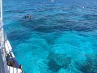 Great day of scuba diving in Key Largo with Rainbow Reef on eagle ray alley tropical legend 2019 06 06 r8386 1