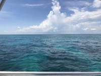 Great day of scuba diving in Key Largo with Rainbow Reef on elbow reef tropical legend 2019 06 03 r8374 1