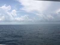 Great day of scuba diving in Key Largo with Rainbow Reef on french reef tropical legend 2019 06 13 r8425 1