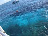 Great day of scuba diving in Key Largo with Rainbow Reef on molasses reef tropical legend 2019 06 01 r8363 1