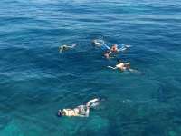 Great day of scuba diving in Key Largo with Rainbow Reef on pickle barrel wreck tropical serenity 2019 06 04 r8378 2