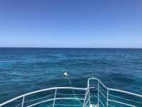 Great day of scuba diving in Key Largo with Rainbow Reef on pts ledge tropical legend 2019 06 01 r8365 1