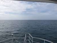 Great day of scuba diving in Key Largo with Rainbow Reef on snapper ledge tropical legend 2019 06 14 r8429 1
