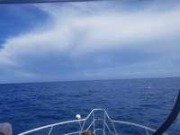 Great day of scuba diving in Key Largo with Rainbow Reef on spiegel grove tropical adventure 2019 06 29 r8493 1