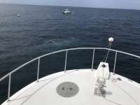 Great day of scuba diving in Key Largo with Rainbow Reef on spiegel grove tropical destiny 2019 06 14 r8430 1