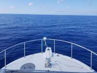 Great day of scuba diving in Key Largo with Rainbow Reef on uscgc duane tropical destiny 2019 06 04 r8377 1