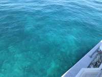 Great day of scuba diving in Key Largo with Rainbow Reef on uscgc duane tropical destiny 2019 06 11 r8411 1