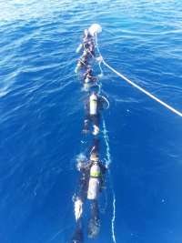 Great day of scuba diving in Key Largo with Rainbow Reef on uscgc duane tropical odyssey 2019 06 28 r8486 1
