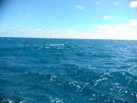 Great day of scuba diving in Key Largo with Rainbow Reef on benwood wreck tropical destiny 2019 03 06 r7920 1