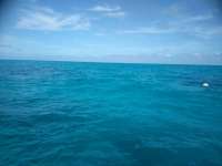 Great day of scuba diving in Key Largo with Rainbow Reef on christ statue tropical destiny 2019 03 11 r7952 1