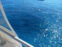 Great day of scuba diving in Key Largo with Rainbow Reef on city of washington tropical destiny 2019 03 02 r7898 1
