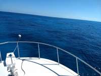 Great day of scuba diving in Key Largo with Rainbow Reef on city of washington tropical destiny 2019 03 02 r7898 2