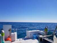 Great day of scuba diving in Key Largo with Rainbow Reef on conch wall tropical explorer 2019 03 22 r8004 1