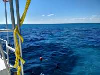 Great day of scuba diving in Key Largo with Rainbow Reef on double north tropical destiny 2019 03 23 r8012 2