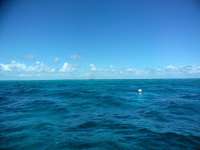 Great day of scuba diving in Key Largo with Rainbow Reef on drift molasses tropical destiny 2019 03 03 r7906 1