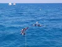 Great day of scuba diving in Key Largo with Rainbow Reef on eagle ray alley santana 2019 03 04 r7912 1